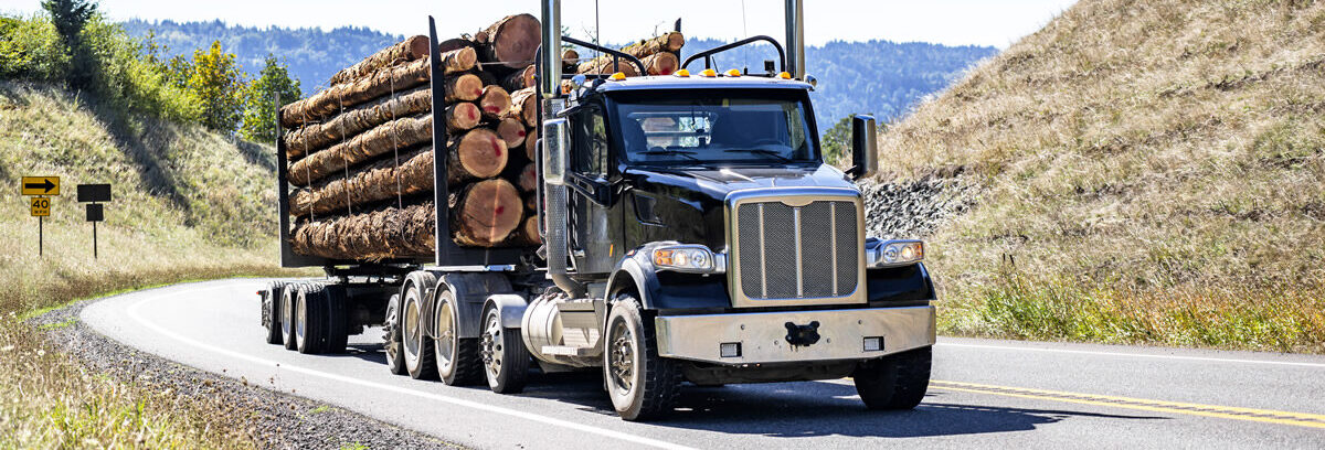 Vestige supports log trucking company