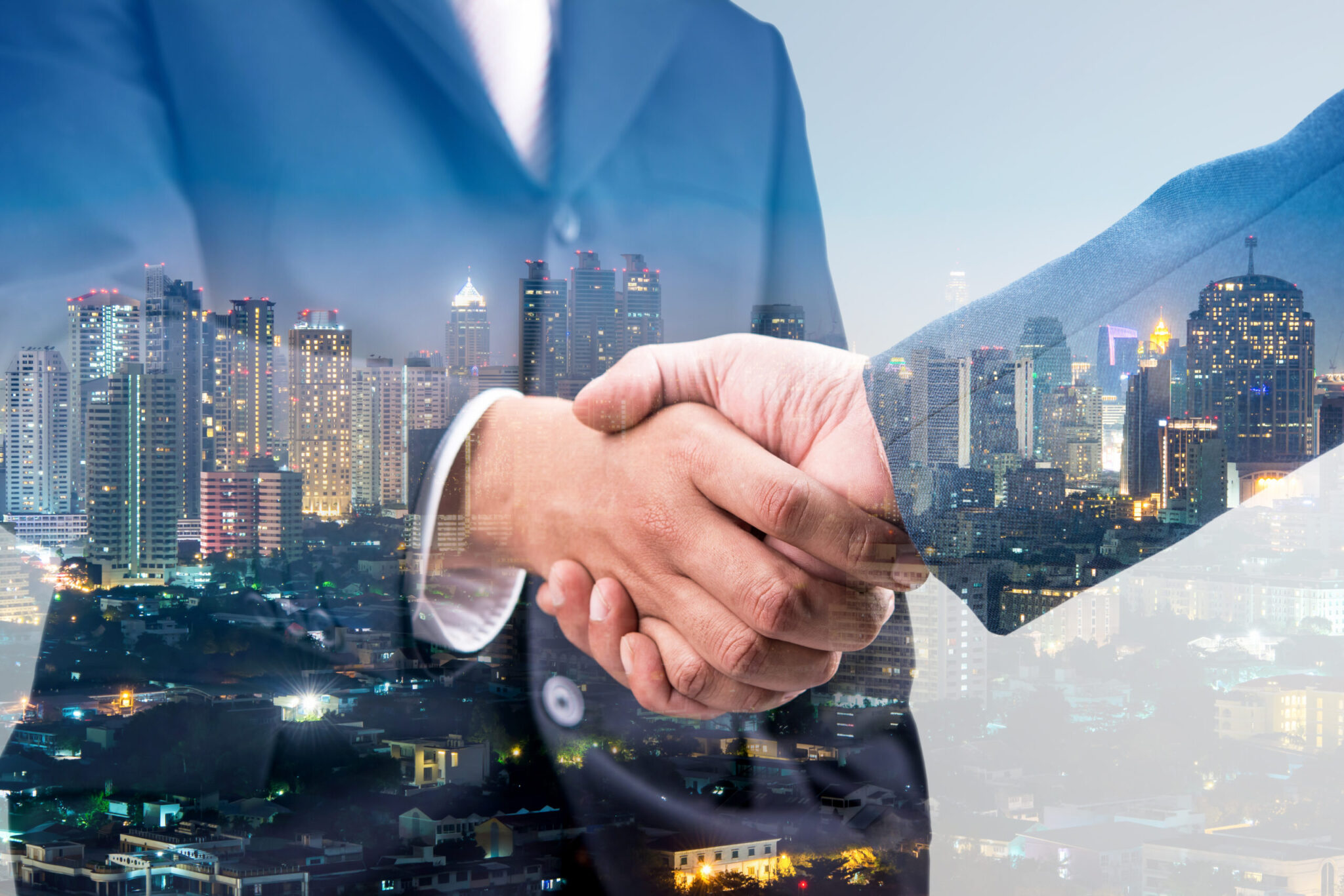 Vestige PartnerProgram scaled